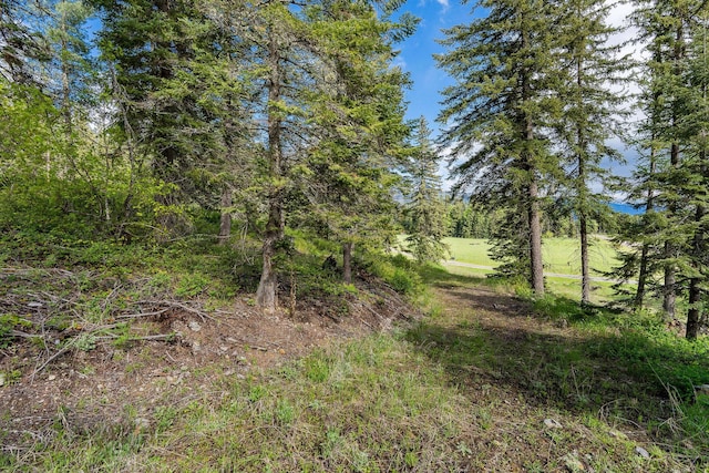4111 Foothill Rd, Kalispell, MT 59901 - view of nature