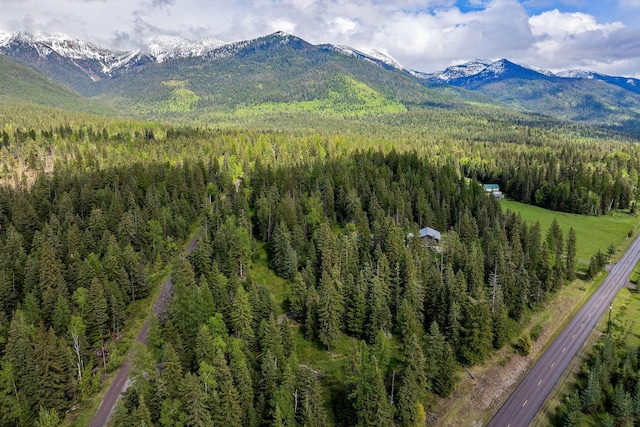 4111 Foothill Rd, Kalispell, MT 59901 - mountain view featuring a forest