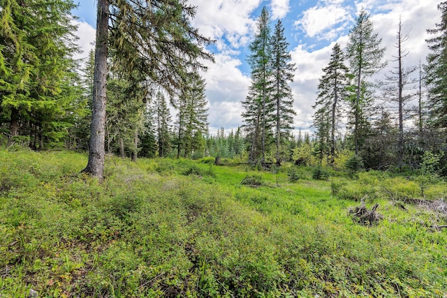 4111 Foothill Rd, Kalispell, MT 59901 - view of wooded area