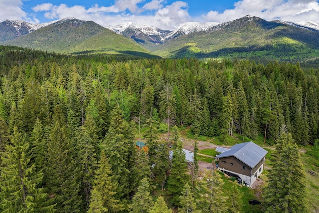 4111 Foothill Rd, Kalispell, MT 59901 - view of mountain backdrop featuring a heavily wooded area