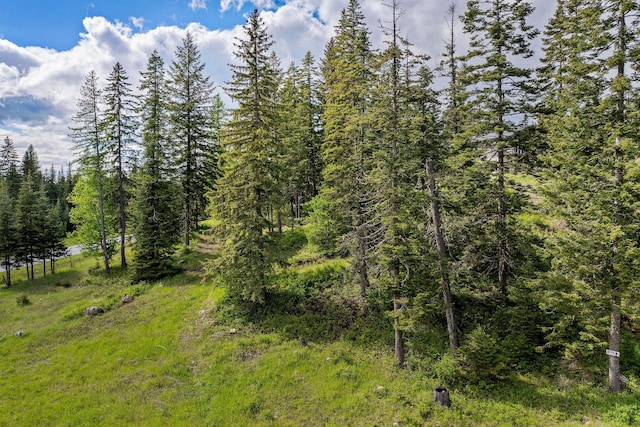 4111 Foothill Rd, Kalispell, MT 59901 - view of woods
