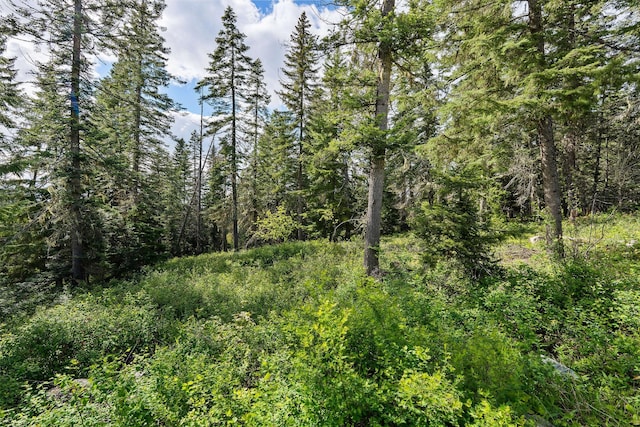 4111 Foothill Rd, Kalispell, MT 59901 - view of wooded area