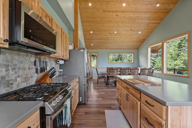 4111 Foothill Rd, Kalispell, MT 59901 - kitchen with appliances with stainless steel finishes, vaulted ceiling, light brown cabinets, recessed lighting, and dark wood-style floors