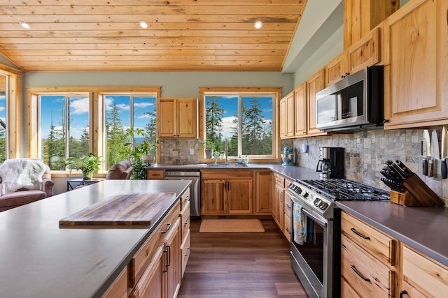 4111 Foothill Rd, Kalispell, MT 59901 - kitchen with stainless steel appliances, vaulted ceiling, decorative backsplash, dark countertops, and dark wood-type flooring