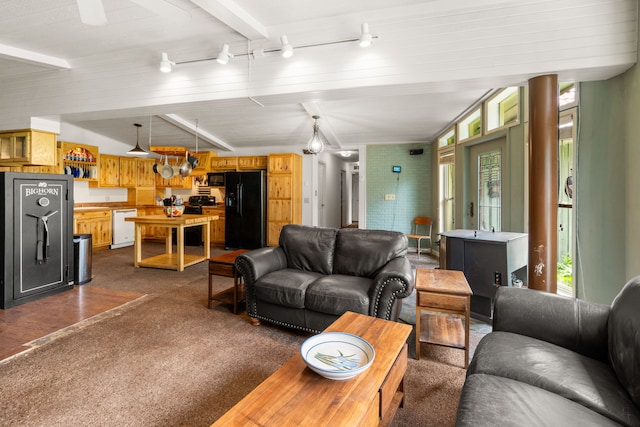 6040 Pearl Dr, Manhattan, MT 59741 - living area featuring dark colored carpet and rail lighting