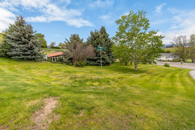 6040 Pearl Dr, Manhattan, MT 59741 - view of grassy yard
