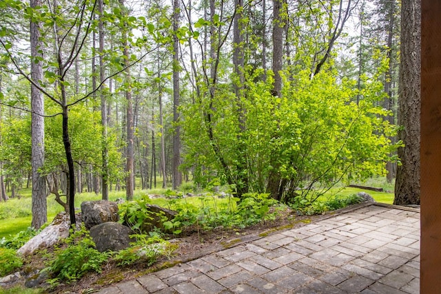 250 Sunday Ln, Kalispell, MT 59901 - view of patio with a view of trees