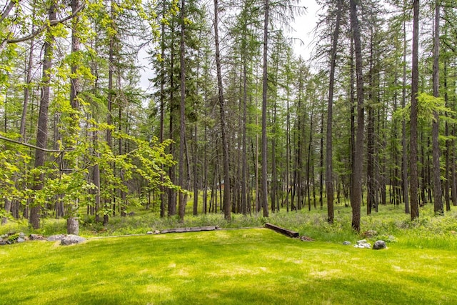 250 Sunday Ln, Kalispell, MT 59901 - view of grassy yard with a view of trees