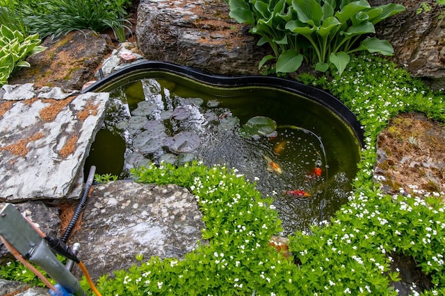 250 Sunday Ln, Kalispell, MT 59901 - exterior view of a garden pond