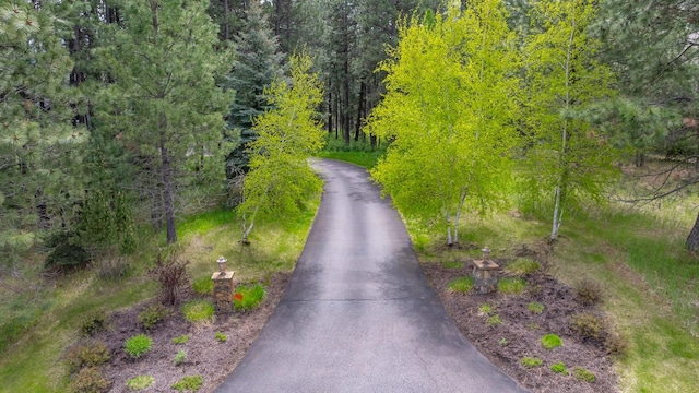 360 Plantation Dr, Kalispell, MT 59901 - view of asphalt road with a wooded view