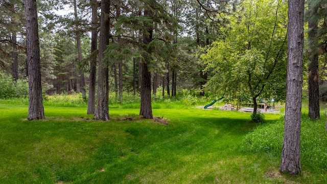 360 Plantation Dr, Kalispell, MT 59901 - view of green lawn with a view of trees