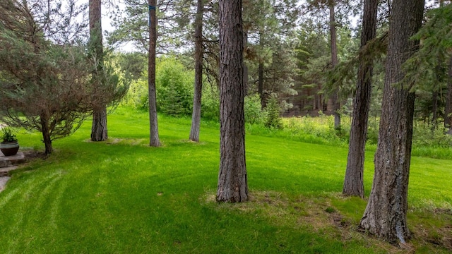 360 Plantation Dr, Kalispell, MT 59901 - view of grassy yard