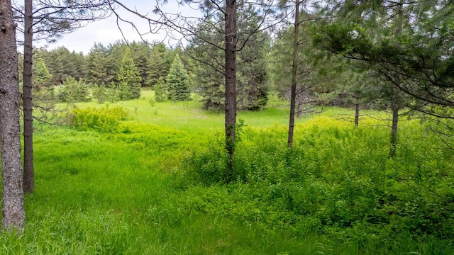 360 Plantation Dr, Kalispell, MT 59901 - view of woods