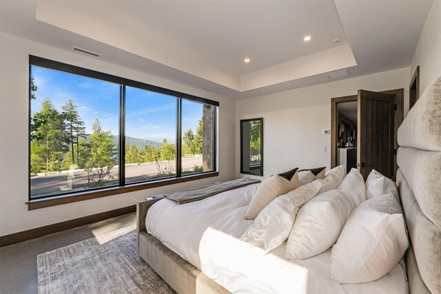 175 N Prairiesmoke Cir, Whitefish, MT 59937 - bedroom featuring a tray ceiling, carpet, recessed lighting, and baseboards