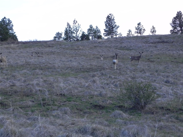 87 Hideaway Ln, Cascade, MT 59421