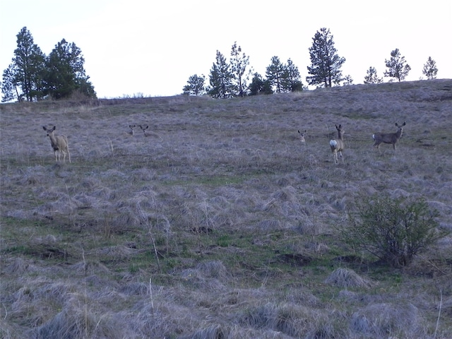 87 Hideaway Ln, Cascade, MT 59421