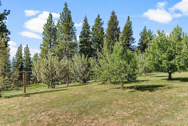956 Falling Star Rd, Victor, MT 59875 - view of grassy yard