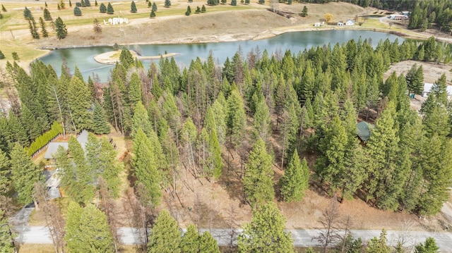 TBD Crystal Lakes Dr, Eureka, MT 59917