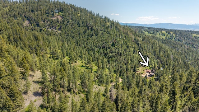 18711 Copper Ridge Trl, Florence, MT 59833 - aerial view of property's location with a heavily wooded area and a mountain backdrop