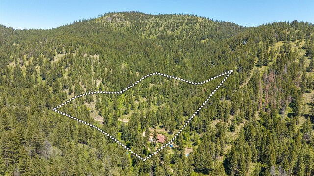 18711 Copper Ridge Trl, Florence, MT 59833 - view of property location with a heavily wooded area and a mountain backdrop