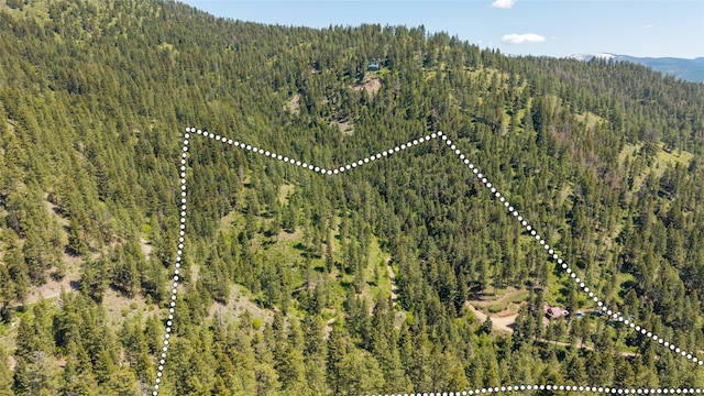 18711 Copper Ridge Trl, Florence, MT 59833 - aerial view of property and surrounding area featuring a forest and a mountain backdrop