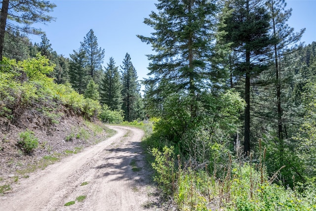 18711 Copper Ridge Trl, Florence, MT 59833 - view of road with a view of trees