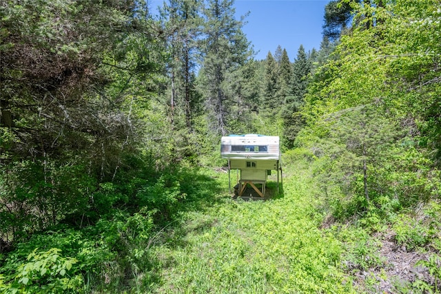18711 Copper Ridge Trl, Florence, MT 59833 - view of yard with a view of trees