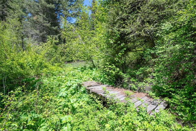 18711 Copper Ridge Trl, Florence, MT 59833 - view of yard with a forest view