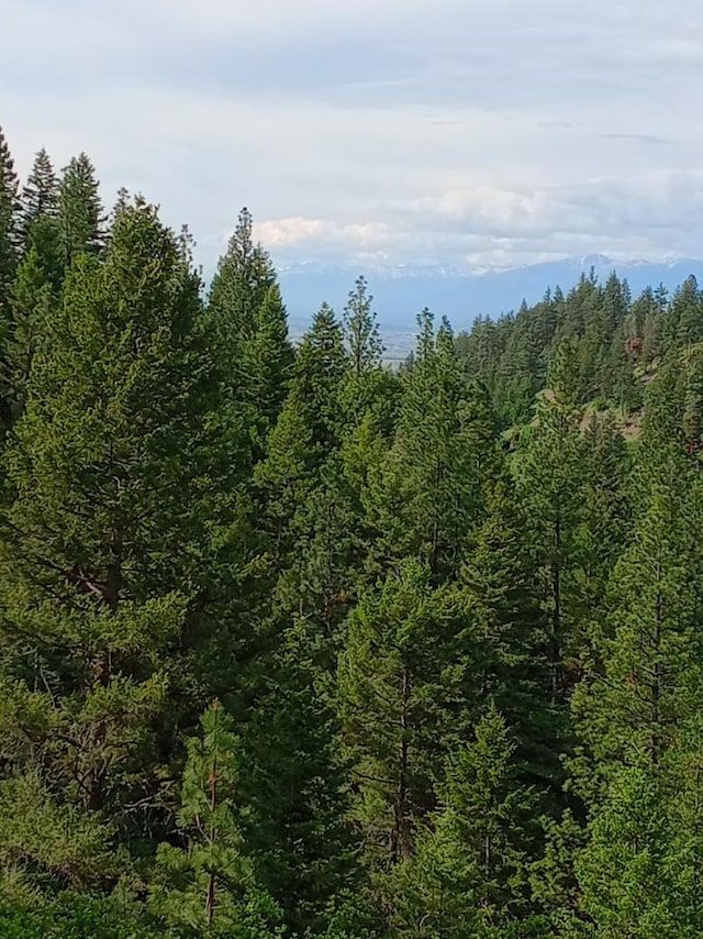 18711 Copper Ridge Trl, Florence, MT 59833 - view of tree filled area