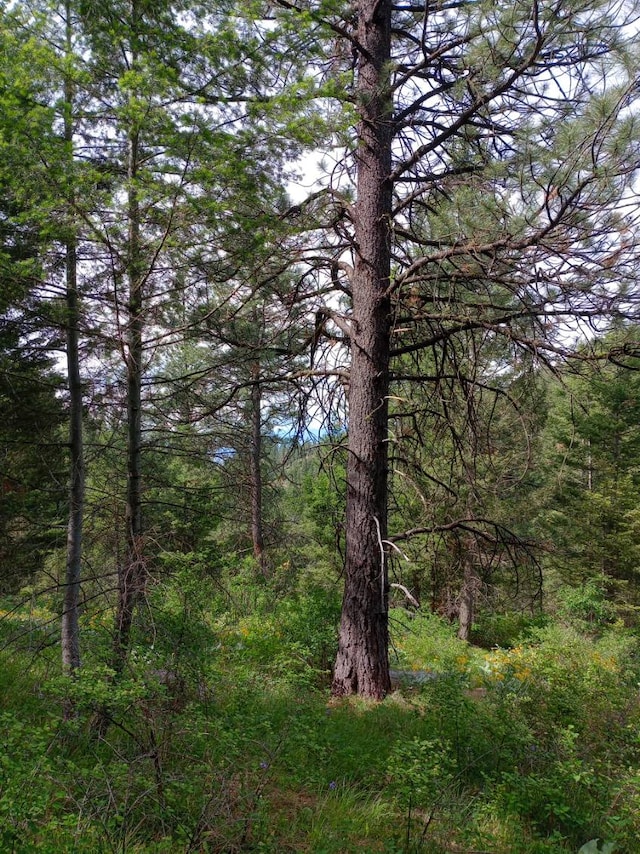 18711 Copper Ridge Trl, Florence, MT 59833 - view of woods