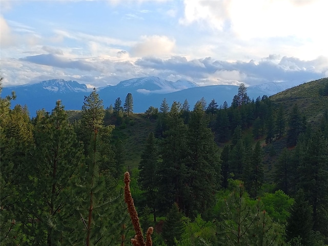 18711 Copper Ridge Trl, Florence, MT 59833 - view of mountain backdrop featuring a heavily wooded area