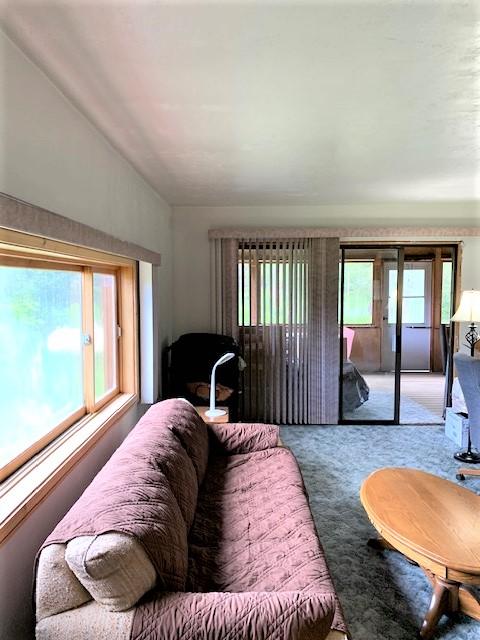 7191 Boy Scout Rd, Seeley Lake, MT 59868 - living room with carpet floors and vaulted ceiling