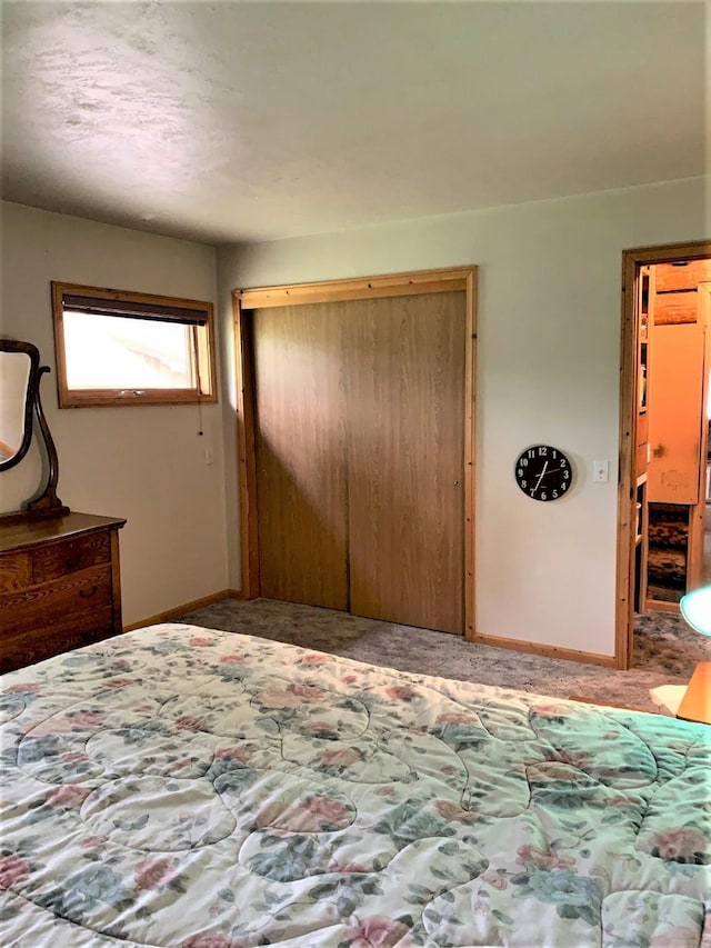 7191 Boy Scout Rd, Seeley Lake, MT 59868 - carpeted bedroom with a closet and baseboards