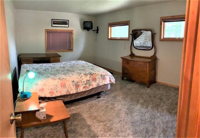 7191 Boy Scout Rd, Seeley Lake, MT 59868 - bedroom with carpet floors and baseboards