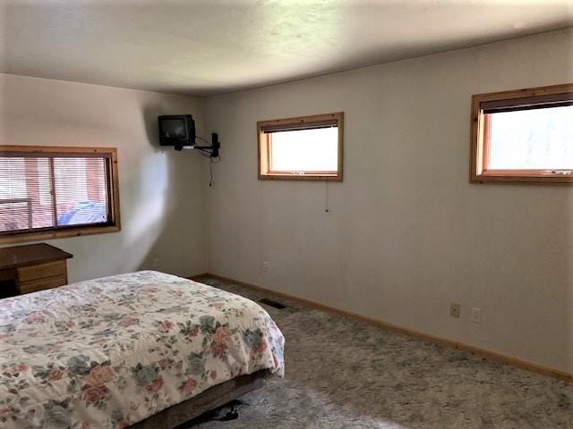 7191 Boy Scout Rd, Seeley Lake, MT 59868 - carpeted bedroom with baseboards