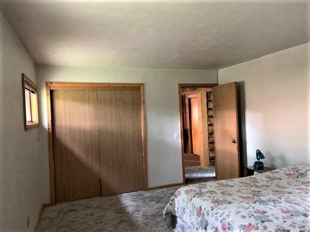 7191 Boy Scout Rd, Seeley Lake, MT 59868 - bedroom featuring carpet, a closet, and baseboards