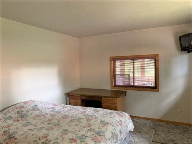 7191 Boy Scout Rd, Seeley Lake, MT 59868 - bedroom with baseboards and carpet floors