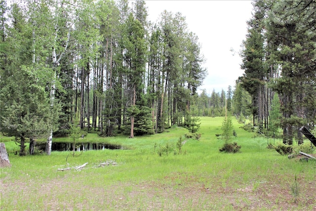 7191 Boy Scout Rd, Seeley Lake, MT 59868 - view of yard