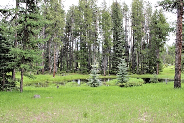7191 Boy Scout Rd, Seeley Lake, MT 59868 - view of yard