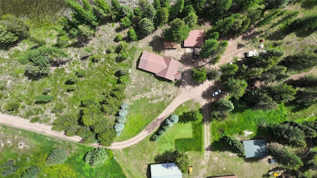 7191 Boy Scout Rd, Seeley Lake, MT 59868 - drone / aerial view