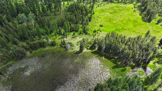 7191 Boy Scout Rd, Seeley Lake, MT 59868 - drone / aerial view