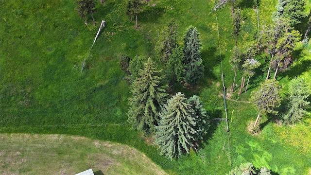 7191 Boy Scout Rd, Seeley Lake, MT 59868 - bird's eye view