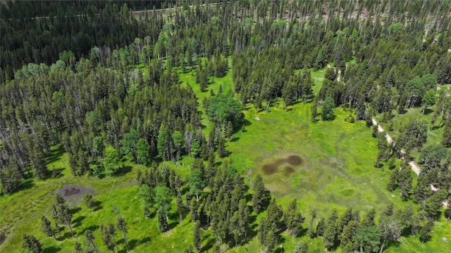 7191 Boy Scout Rd, Seeley Lake, MT 59868 - aerial view of a forest
