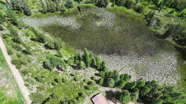 7191 Boy Scout Rd, Seeley Lake, MT 59868 - aerial view of sparsely populated area