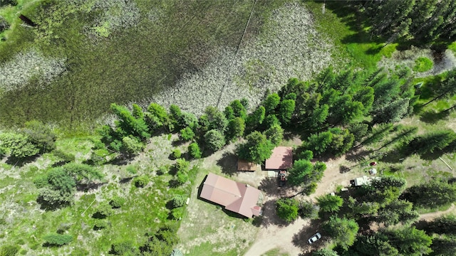 7191 Boy Scout Rd, Seeley Lake, MT 59868 - aerial view of property and surrounding area