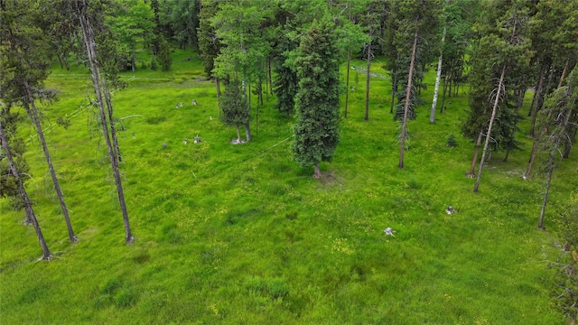 7191 Boy Scout Rd, Seeley Lake, MT 59868 - view of local wilderness