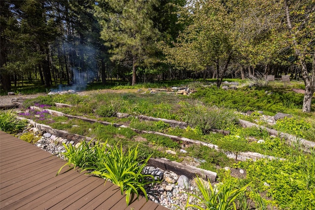 1473 Foothill Rd, Kalispell, MT 59901 - view of yard