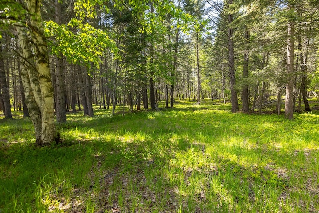 1473 Foothill Rd, Kalispell, MT 59901 - view of yard with a wooded view