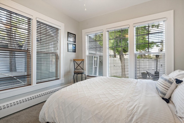 322 W Lawrence St, Helena, MT 59601 - bedroom with multiple windows, a baseboard heating unit, and carpet floors