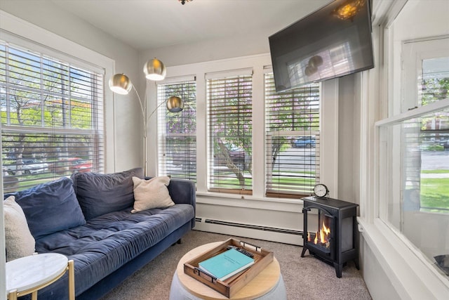 322 W Lawrence St, Helena, MT 59601 - living room featuring baseboard heating, carpet floors, and a wood stove